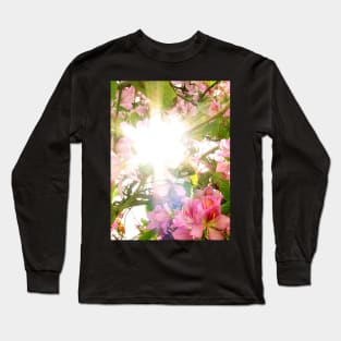 Close up cherry blossom or pink sakura flower with sunbeam Long Sleeve T-Shirt